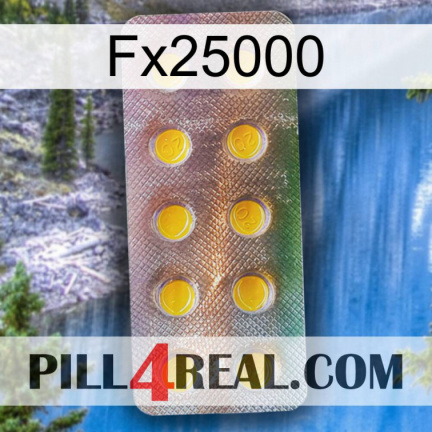 Fx25000 new11